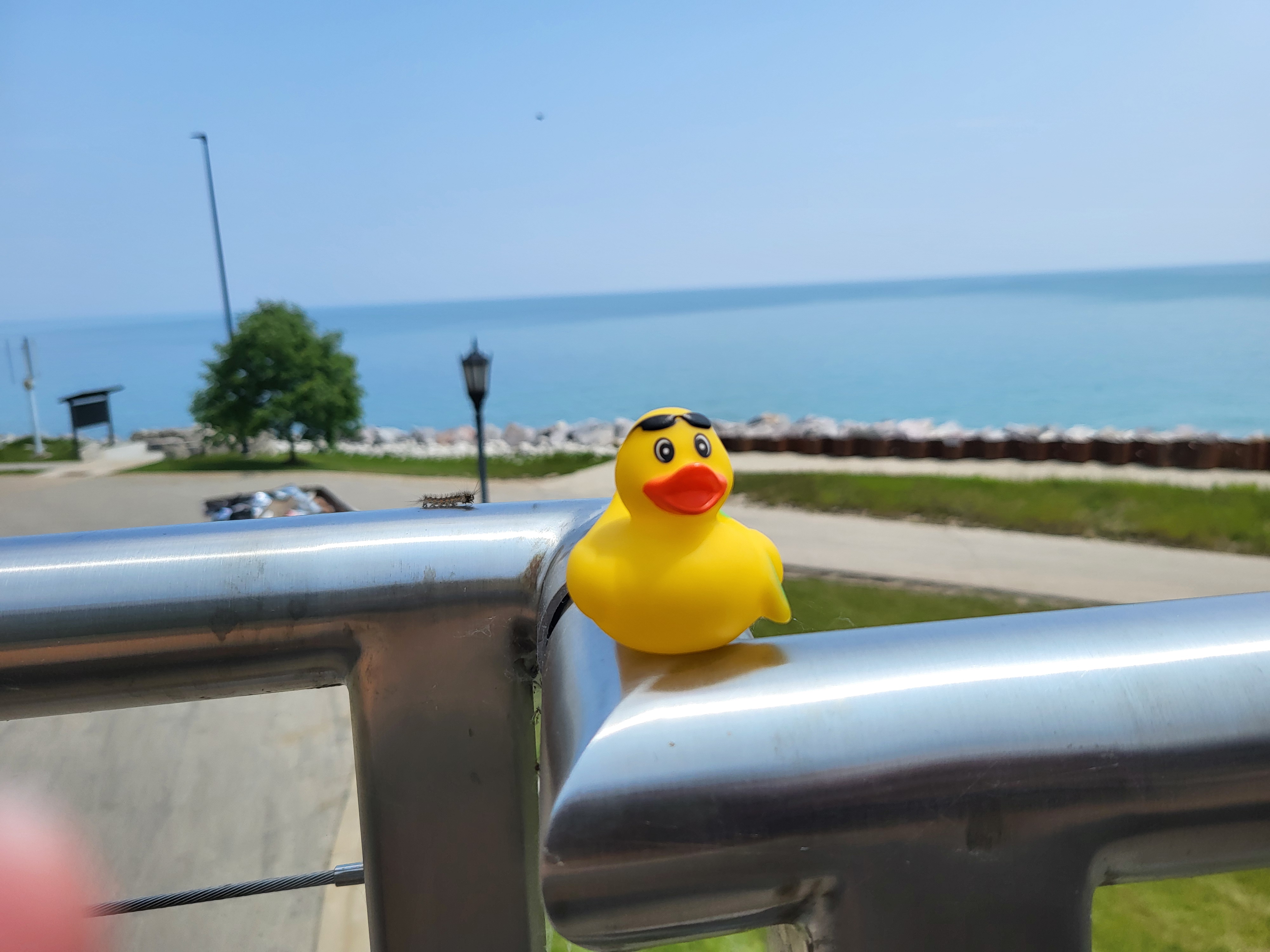 Gerald posing by Lake Michigan